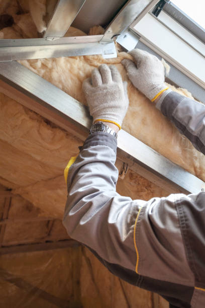 Best Insulation Maintenance and Repair in Vernon Hls, IL