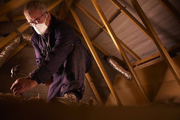 Best Commercial Insulation in Vernon Hls, IL